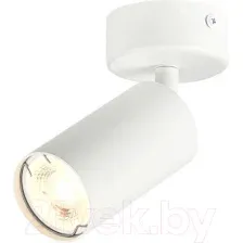 Спот ST Luce Dario ST303.502.01