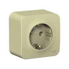 Розетка Schneider Electric BLNRA010117