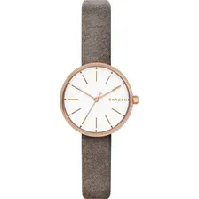 Наручные часы Skagen SKW2644