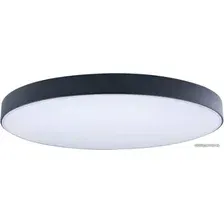 Светильник-тарелка LOFT IT Axel 10002/48 Black