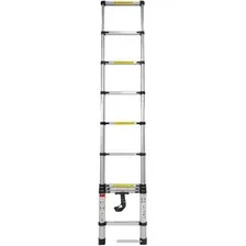 Лестница FORSAGE F-UP290 (10 ступеней)