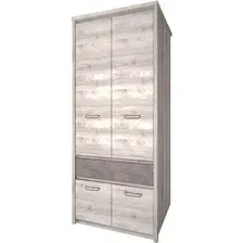 Шкаф распашной Anrex Jazz 4DG1S (каштан найроби оникс)