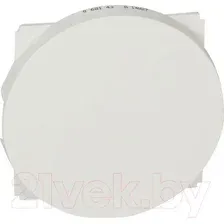 Декоративная заглушка Legrand Celiane 68143 (белый)