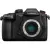 Беззеркальный фотоаппарат Panasonic DC-GH5S Body