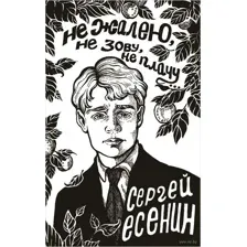 Не жалею, не зову, не плачу...