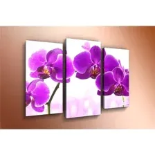Модульная картина Arthata m-000304 120x80