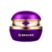 BRAYER BR5031