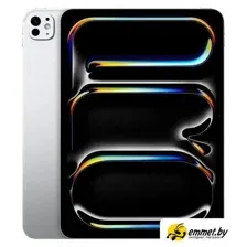 Apple iPad Pro 11" 2024 5G 256GB (серебристый)