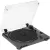 Music Public Kingdom TT21AT