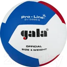 Мяч волейбольный Gala Sport Pro-Line 12 / BV5595SA (размер 5, белый/красный/голубой)