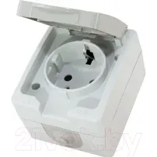 Розетка TDM Вуокса SQ1803-0007