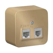 Розетка компьютерная Schneider Electric Blanca BLNIA045114