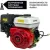 Бензиновый двигатель Skiper N170FL(SFT)