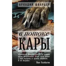 В потоке Кары