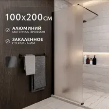 Душевая стенка Saniteco Walk-In SN-W6MB100 (100x200, матовое стекло, черный профиль)