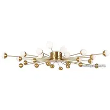Припотолочная люстра Freya Celebrity FR5242CL-24BS