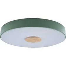 Светильник-тарелка LOFT IT Axel 10003/24 Green