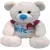 Мягкая игрушка Weihai Мишка в свитере / 016SBX253 (белый)