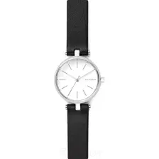 Часы наручные женские Skagen SKW2639