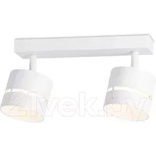 Спот Ambrella Techno Spot TN71058/2 WH (белый)