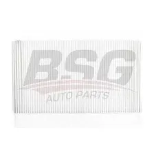 Салонный фильтр BSG BSG 60-145-001 MB Sprinter, VW Crafter all 06>