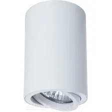 Точечный светильник Arte Lamp Sentry A1560PL-1WH