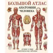 Энциклопедия издательства АСТ. Большой атлас анатомии человека (Махиянова Е.)