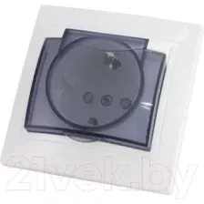 Розетка TDM Таймыр SQ1814-0019 (белый)