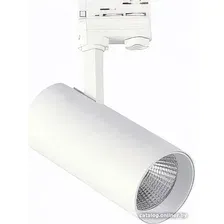Трековый светильник ST Luce ST661.536.40