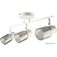Светильник Mirastyle BL-14854/3 BKCR