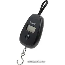 Кухонные весы Garin DS1