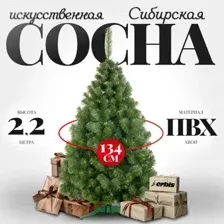 Сосна Erbis Sosna сибирская 220