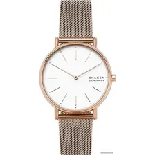 Наручные часы Skagen SKW2784