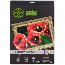 Холст CACTUS Холст A3 300 г/м2 10 листов [CS-СA326010]