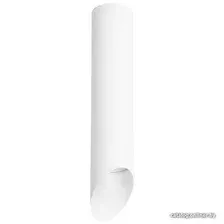 Точечный светильник Lightstar Rullo R49636