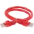 Кабель ITK RJ45 - RJ45 PC04-C5EU-3M (3 м, красный)