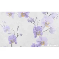 Бумажные обои Аспект 10148-56