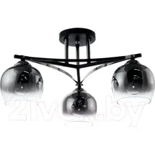 Потолочный светильник Aitin-Pro N4744/3