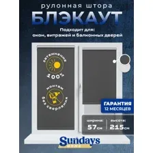 Рулонная штора Sundays Home LM 167-07 57х215 (темно-серый)
