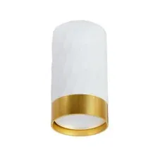 Точечный светильник Arte Lamp Fang A5558PL-1WH