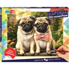 Картина по номерам MultiArt CANV40X50-115977