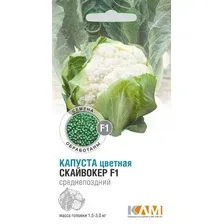 Капуста цветная Скайвокер F1, 10 шт
