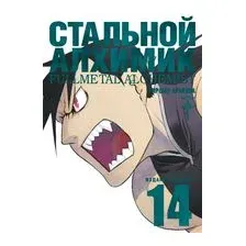 Стальной Алхимик. Книга 14