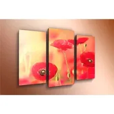 Модульная картина Arthata m-000239 75x50