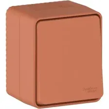 Выключатель Systeme (Schneider) Electric AtlasDesign Profi ATN547061