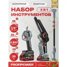 Набор электроинструмента Profipower ProfiSet-3G20 (цепная пила, секатор, 2 АКБ)