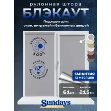 Рулонная штора Sundays Home LM 168-07 61x215 (серый)