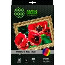 Холст CACTUS Холст A3 300 г/м2 10 листов [CS-СA326010]
