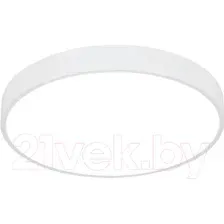 Светильник потолочный Arte Lamp ARENA A2661PL-1WH