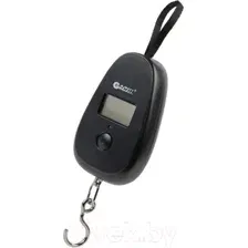 Безмен электронный Garin Точный Вес DS1 BL1 / БЛ14165